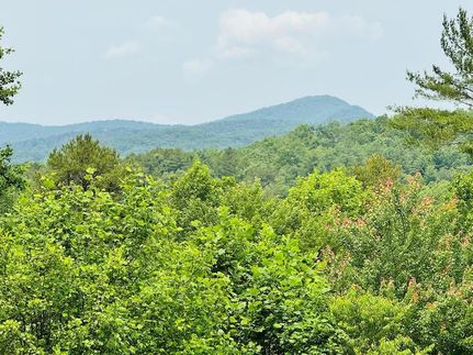 Farm Property for sale in Fannin County, Georgia