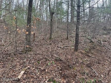 Ranch Property for sale in Blount County, Tennessee