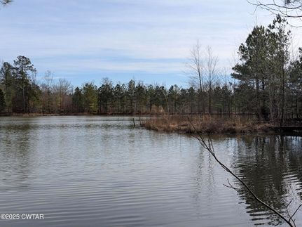 Recreational Property for sale in Benton County, Tennessee