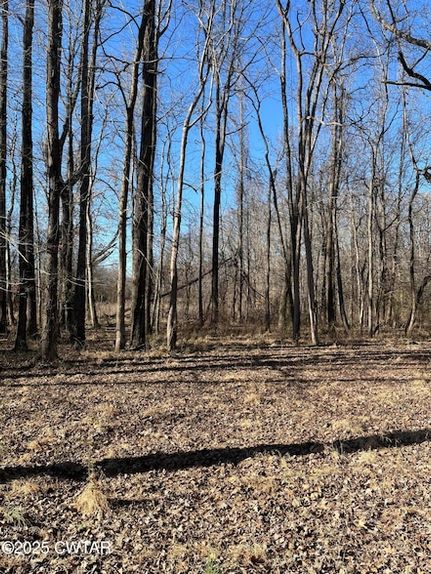 Residential Property for sale in Henry County, Tennessee