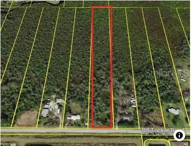 Timberland Property for sale in Hillsborough County, Florida