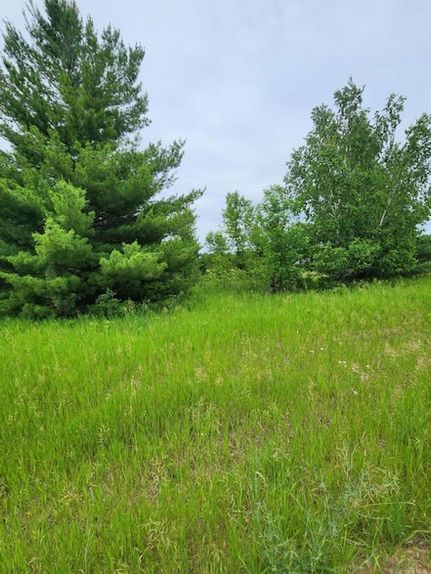 Residential Property for sale in Todd County, Minnesota