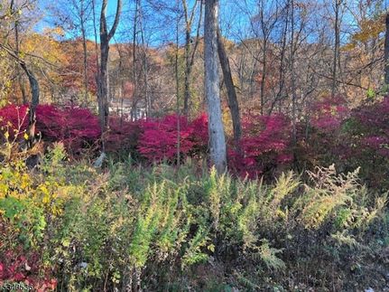 Ranch Property for sale in Morris County, New Jersey