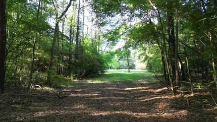 Farm Property for sale in Jefferson County, Texas