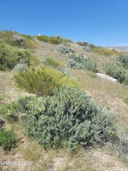 Farm Property for sale in Washoe County, Nevada