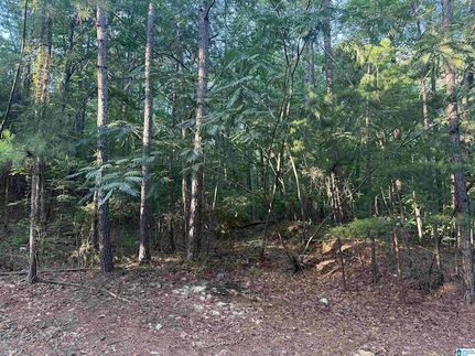 Recreational Property for sale in Jefferson County, Alabama