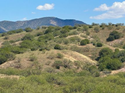 Recreational Property for sale in Santa Cruz County, Arizona