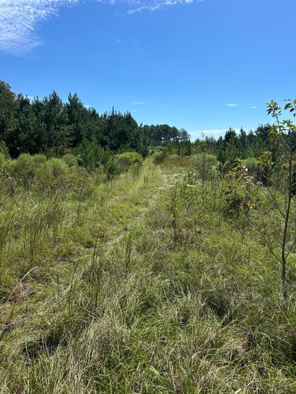 Farm Property for sale in Holmes County, Mississippi