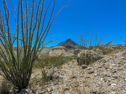 Ranch Property for sale in Brewster County, Texas