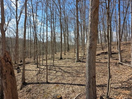 Farm Property for sale in Meigs County, Ohio