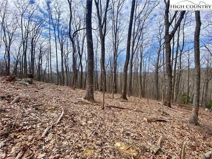 Farm Property for sale in Avery County, North Carolina