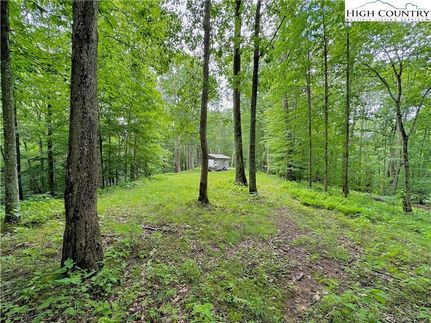 Undeveloped Land for sale in Avery County, North Carolina