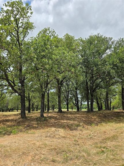 Recreational Property for sale in Wise County, Texas