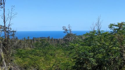 Farm Property for sale in Hawaii County, Hawaii