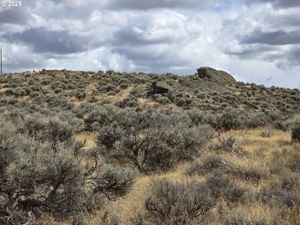 Recreational Property for sale in Lake County, Oregon