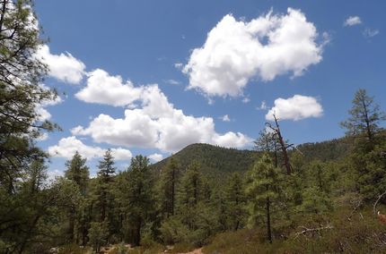 Farm Property for sale in Gila County, Arizona
