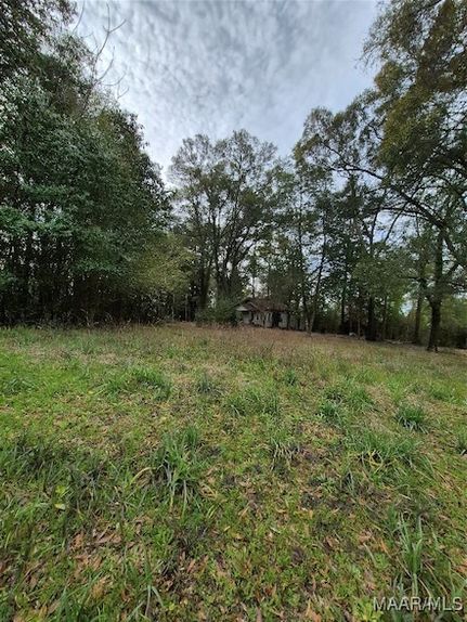 Recreational Property for sale in Covington County, Alabama