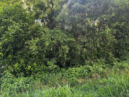 Recreational Property for sale in Hamblen County, Tennessee