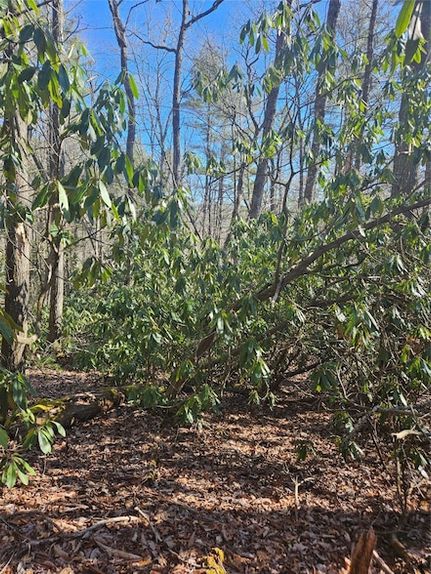 Undeveloped Land for sale in Jackson County, North Carolina