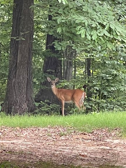 Ranch Property for sale in Saint Francis County, Arkansas