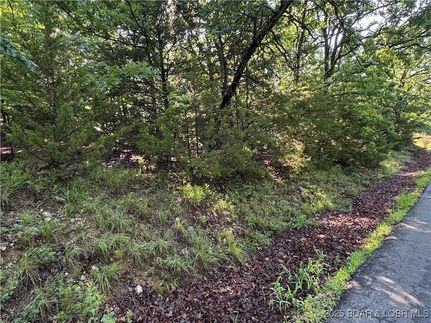 Farm Property for sale in Camden County, Missouri