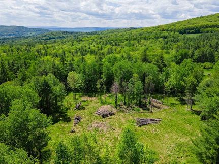 Timberland Property for sale in Sullivan County, New Hampshire