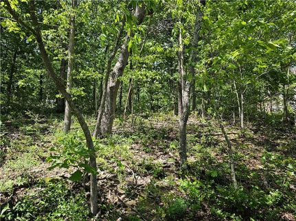 Farm Property for sale in Benton County, Arkansas