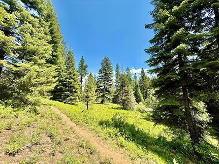 Recreational Property for sale in Valley County, Idaho