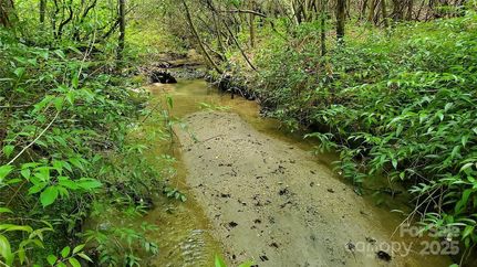 Recreational Property for sale in Polk County, North Carolina