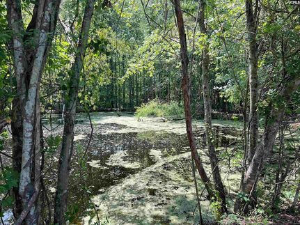 Farm Property for sale in Lexington County, South Carolina