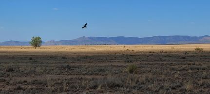 Ranch Property for sale in Valencia County, New Mexico