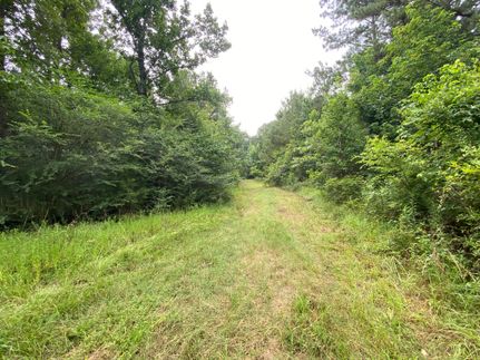 Farm Property for sale in Panola County, Texas