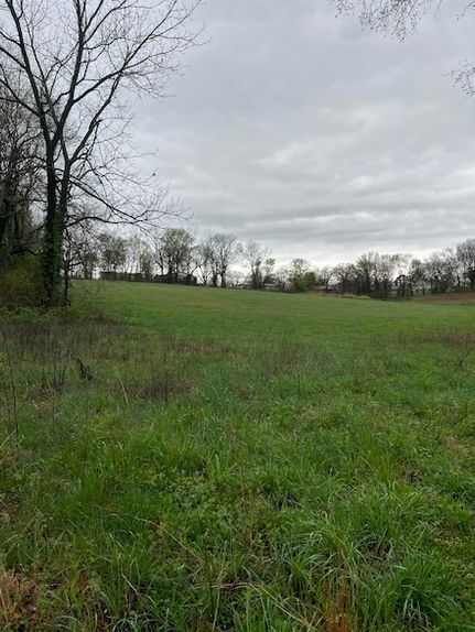 Ranch Property for sale in Barry County, Missouri