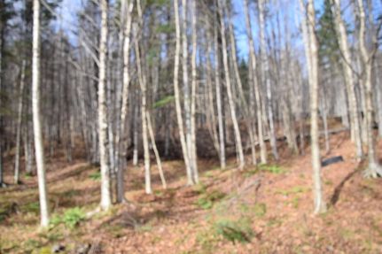 Recreational Property for sale in Coos County, New Hampshire