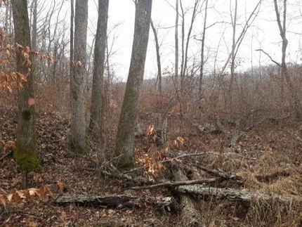 Farm Property for sale in Hickman County, Tennessee