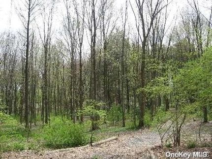 Ranch Property for sale in Nassau County, New York