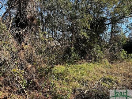 Farm Property for sale in Chatham County, Georgia