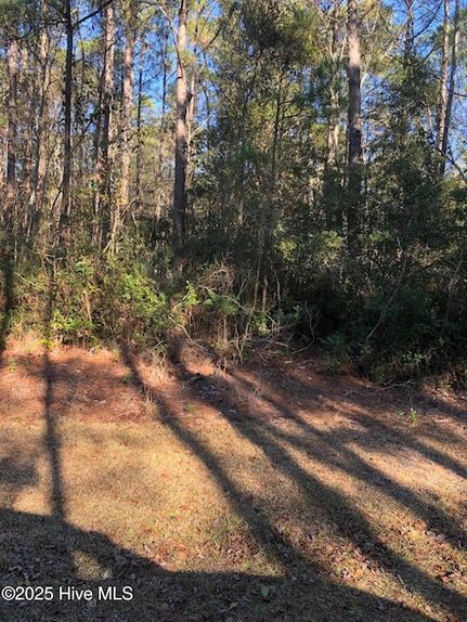 Farm Property for sale in Pender County, North Carolina