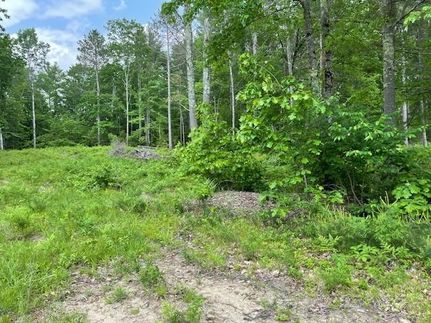 Residential Property for sale in Carroll County, New Hampshire