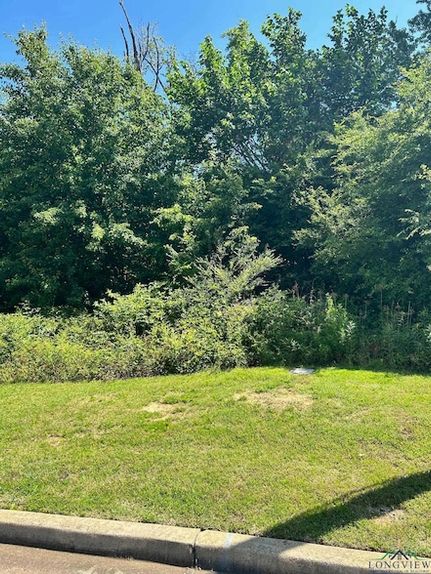 Undeveloped Land for sale in Gregg County, Texas