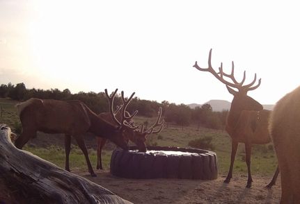 Ranch Property for sale in Cibola County, New Mexico