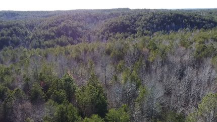 Recreational Property for sale in Fayette County, Alabama