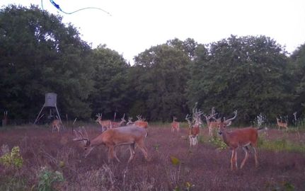 Farm Property for sale in Hughes County, Oklahoma