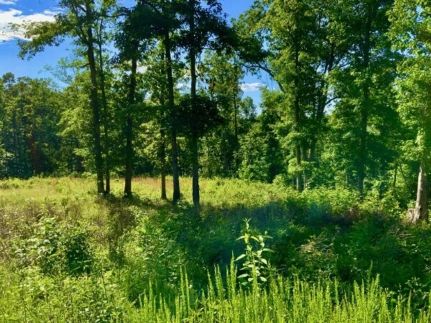 Hunting Land for sale in Humphreys County, Tennessee
