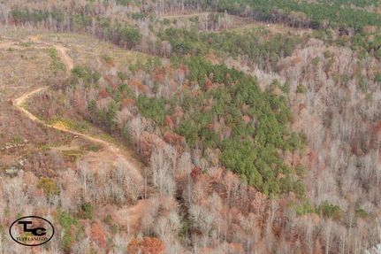 Timberland Property for sale in Walker County, Alabama
