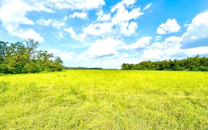 Farm Property for sale in Lafayette County, Florida