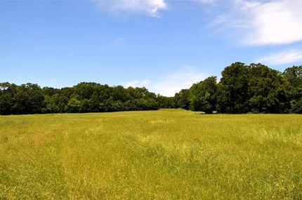 Undeveloped Land for sale in Henderson County, Texas
