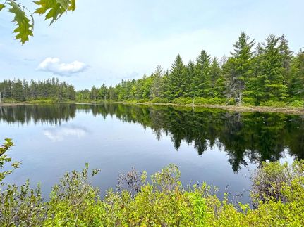 Farm Property for sale in Chippewa County, Michigan