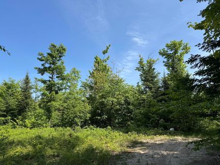 Undeveloped Land for sale in Chippewa County, Michigan