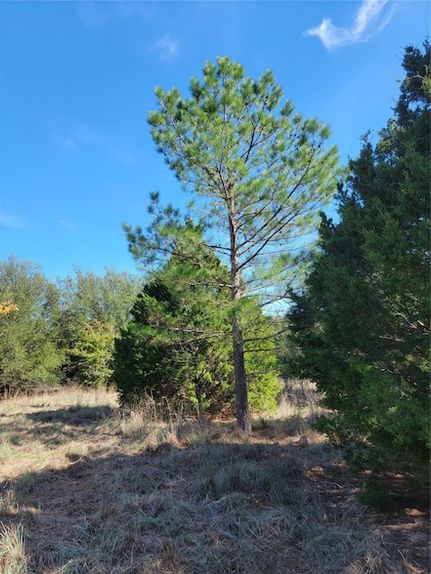 Timberland Property for sale in Parker County, Texas